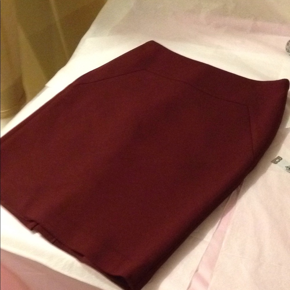 Ann Taylor Skirt Size 8p